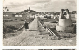 CPSM , Algérie , N°10, Ghardaia ,  Route Du Bordj , Animée  Ed. CAP - Ghardaia