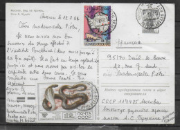 URSS Carte PAP 1981 Serpents Polaire - Programmes Scientifiques