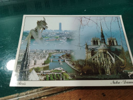 436 //  PARIS / NOTRE-DAME - Notre Dame De Paris