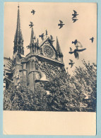 PARIS - Les Pigeons De Notre-Dame - Photo Albert MONIER - Notre Dame De Paris