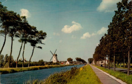 DAMME - De Molen En Kanaal Brugge-Sluis - Damme