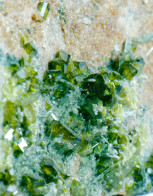 Mineral - Epidoto (Val Di Viù, Torino, Piemonte, Italia) - Lot. 1099 - Minéraux