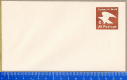 USA - Intero Postale - Stationery - DOMESTIC MAIL  C - 1961-80