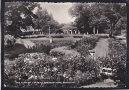 The Sunken Gardens, Preston Park . Brighton - Brighton