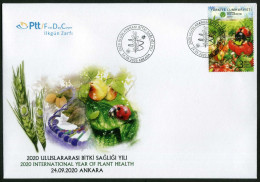 Türkiye 2020 Plant Health, Environment Protection, Ladybird, Beetle, Insects, Fruit, Tomatoes Mi 4609 FDC - Protection De L'environnement & Climat