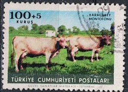 Türkei Turkey Turquie - Montafon (MiNr: 1923) 1964 - Gest Used Obl - Used Stamps