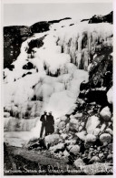 Covilhã , Serra Da Estrela, Cascata Gelada, Postal Fotográfico, Portugal - Castelo Branco