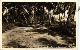 PC SURINAME - OP PLANTAGE LEASOWES IN CORONIE (a2681) - Suriname
