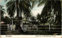 PC SURINAME - JNGANG TOT DE COCOSNOOTUEZEL-FABRIEK (a2553) - Suriname