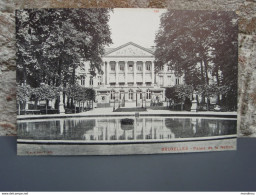 Cpa  BRUXELLES  Palais De, La Nation, Carte Non écrite, Belle Carte. Précurseur - Beroemde Personen