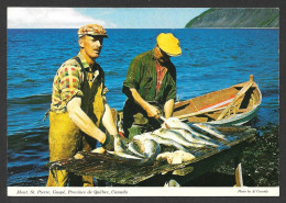 Mont St Pierre  Gaspé Québec - Pêcheurs Gaspésiens Préparant Leurs Captures Pour Le Marché - Non Voyagée - Gaspé