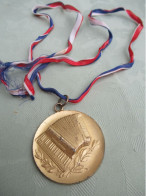 Grande Médaille De Musique/Bronze  Doré/ Accordéon Et Rameaux De Lauriers   /seconde Moitié Du  XXème  PART334 - Autres & Non Classés