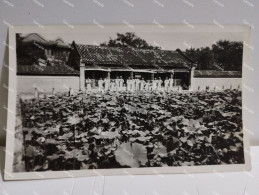 China Photo To Identify. European Sailors ? 110x70 Mm. - Asia