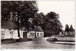 Beerlegem. -  Ingang Kasteeldreef;  FOTO-KAART - Zwalm