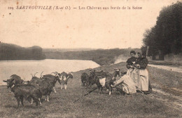 Sartrouville - Les Chèvres Aux Bords De La Seine - Chevrier Métier - Sartrouville