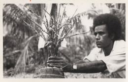 Fiji Man Studying Plantation Vintage PB Postcard Photo - Fidji