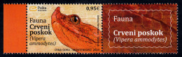 Montenegro 2023 Fauna Snakes Reptiles & Amphibians Vipera Ammodytes Red Viper Animals, Stamp With Nice Label In Pair MNH - Serpents