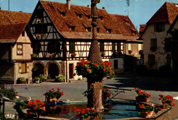 N°107315 -cpsm Dambach La Ville -fontaine Fleurie- - Dambach-la-ville