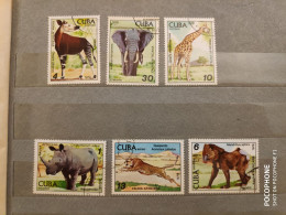 1978 Cuba	Animals Elephants  (F17) - Gebruikt