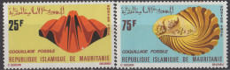 MAURITANIE - Coquillages Fossiles - Mauritanie (1960-...)