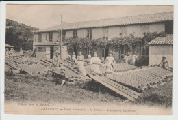 SALERNES - VAR - USINE A TOMETTES - LE SECHOIR - L'INDUSTRIE SALERNOISE - Salernes