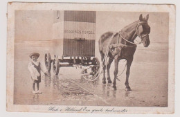 Hoek Van Holland - Een Groote Badmeester - Hoek Van Holland