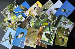 Madagascar Madagaskar 2021 / 2022 Mi. 2726 - 2745 Carte Maximum Card Oiseaux Endémiques Birds Vögel Fauna - Autres & Non Classés