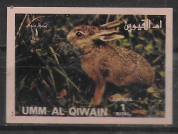 UMM AL QIWAIN   PA     * *    NON DENTELE Rongeurs Lievre Lapins - Rabbits