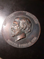 GARIBALDI GIUSEPPE GUERRA D'ITALIA 1859 MEDAGLIA CM., 11,5 METALLO - Adel