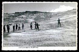 SERRA DA ESTRELA -  COVILHÃ - ( Ed. Gevaert)  Carte Postale - Castelo Branco