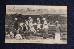 85 - Les Sables D'Olonne : Pêcheurs De Coquillages - Sables D'Olonne