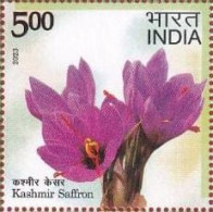 India 2023 Agricultural Goods Of India - - Geographical Fruit - Kashmir Saffron 1v Rs.5.00 Stamp MNH As Per Scan - Agriculture
