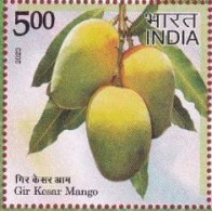 India 2023 Agricultural Goods Of India -- Geographical Fruit - Gir Kesar Mango 1v Rs.5.00 Stamp MNH As Per Scan - Agriculture