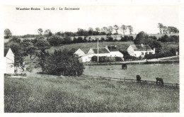 BELGIQUE - Wauthier-Braine - Lieu-dit : Le Sacrement - Campagne - Vaches - Carte Postale Ancienne - Nijvel