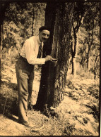 Col De Gratteloup , Var 83 * 1929 * Forêt De La Résine * Résinier Métier * Photo Ancienne 10.8x8cm - Autres & Non Classés