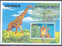 OEGANDA    (FAU125) XC - Giraffes