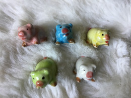 Série 5 Fèves MAIFRUICO Trouées PORCS COCHONS Multicolores - Animaux