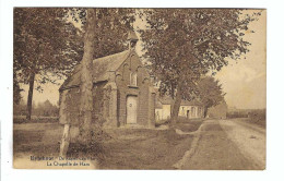 Eindhout   Eynthout  De  Kapel Van Ham    La  Chapelle De Ham - Laakdal