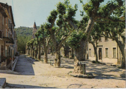 Collobrieres , Place Général De Gaulle , Pli - Collobrieres