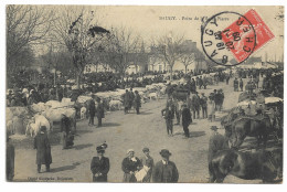 BAUGY. - Foire De La Saint Pierre Voyagée 1909 - FOIRE - BOEUF - VACHES - Baugy