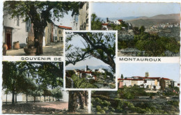 MONTAUROUX - 5 VUES Des ANNEES 60  - - Montauroux