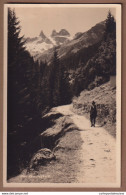 Im Gauertal - Am Nordhang Des Rätikon In Der Gemeinde Tschagguns - Bludenz