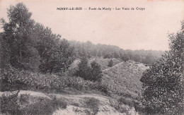 Noisy Le Roi - Foret De Marly - Les Vaux De Cruye - CPA°J - Autres & Non Classés