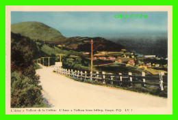 GASPÉ, QUÉBEC - L'ANSE A VALLEAU DE LA COLLINE - LV - PECO - - Gaspé