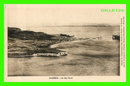 PERCÉ, QUÉBEC - VUE DES AIR DU CAP PERCÉ - CIE AÉRIENNE FRANCO-CANADIENNE- - Percé