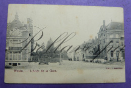 Wellin Allée De La Gare  1905 - Wellin