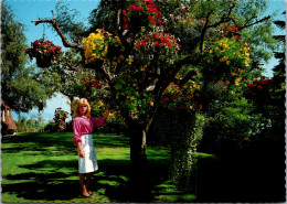 Canada Victoria Marine Drive Fable Cottage Estate "Basket Tree" - Victoria