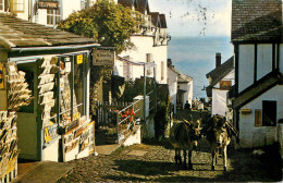 England Clovelly - The Post Office Donkeys - Clovelly