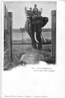 ¤¤    -     LAOS   -   Un Eléphant Avec Son Bat        -    ¤¤ - Laos