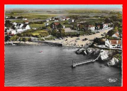 CPSM/gf (44) LA PLAINE-sur-MER.  Vue Aérienne, Le Port Giraud..*1029 - La-Plaine-sur-Mer